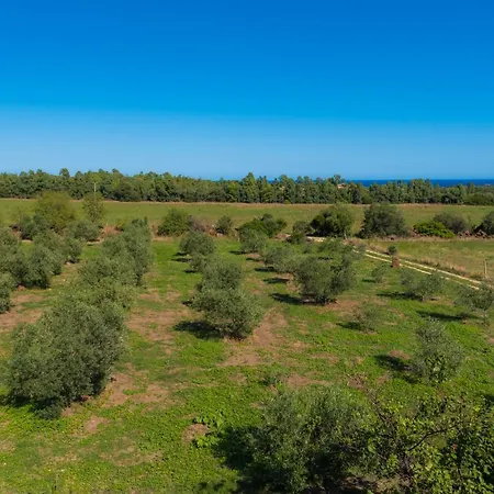 La Casa Di Tomaso Holiday home