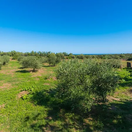 La Casa Di Tomaso Orosei